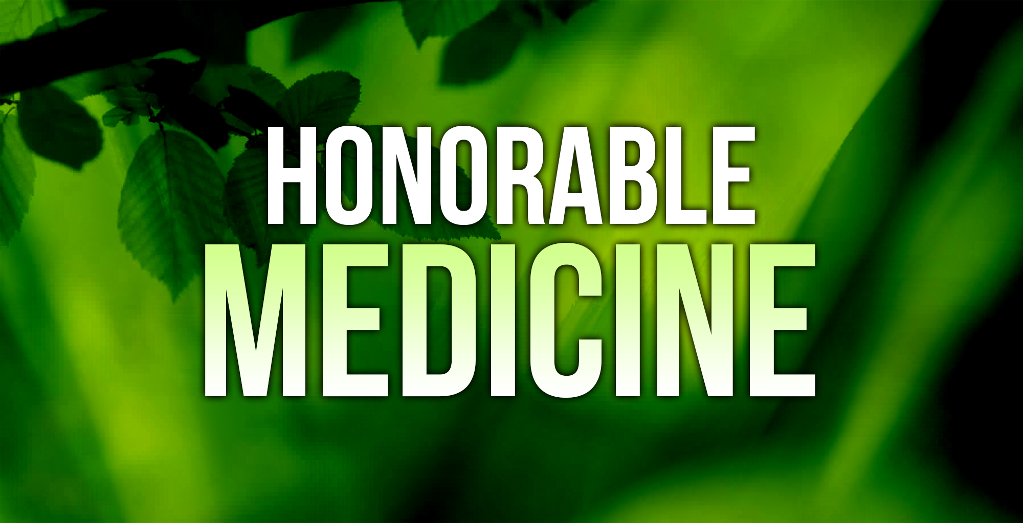 Alternative Holistic Medicine header image